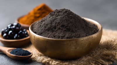 Exploring Best Bulk Shilajit Extract Powder and Its Alternatives for Global Buyers