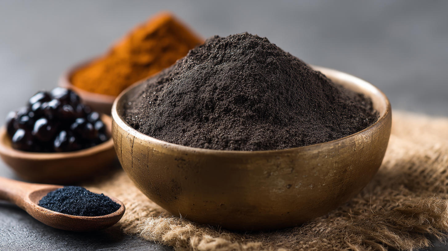 Exploring Best Bulk Shilajit Extract Powder and Its Alternatives for Global Buyers