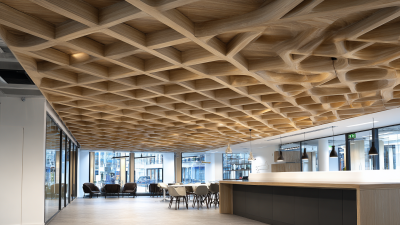 Innovations in 2025 Shaping the Future of Best Acoustic Ceiling Wood Solutions