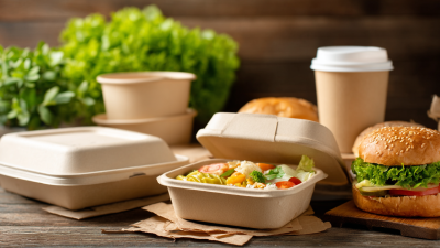 Eco-Friendly Food Packaging: A Comparative Analysis of Biodegradable vs. Traditional Options