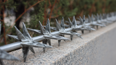 How to Enhance Security with 316 Wall Spikes for Your Property