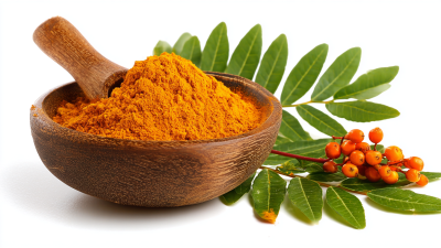 Essential Checklist for Sourcing High Quality Berberine Extract Powder