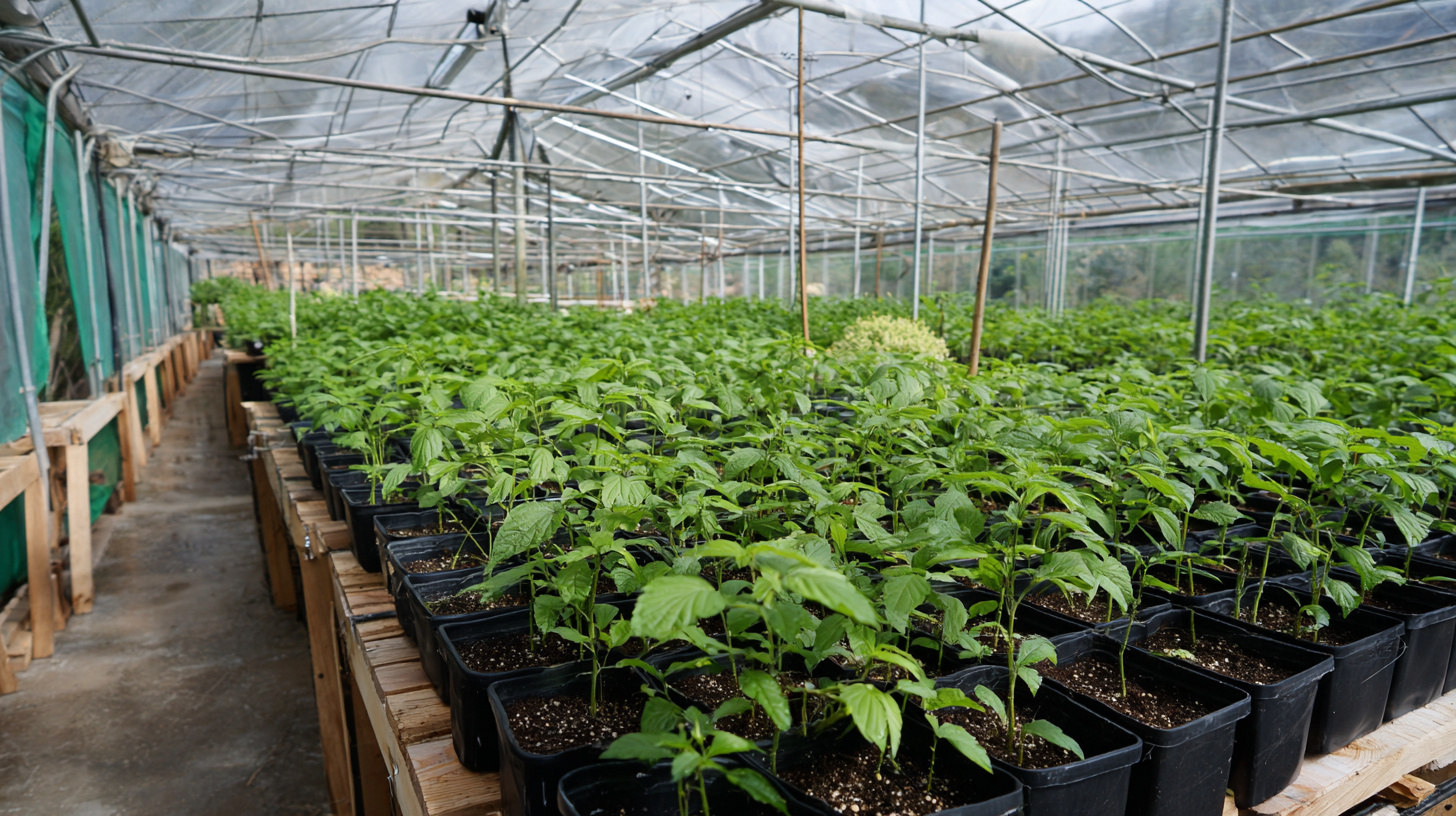 7 Surprising Benefits of Investing in a Blackout Greenhouse for Your Plants