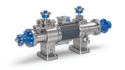 Ultimate Guide to Understanding Bidirectional Relief Valves for Optimal System Performance