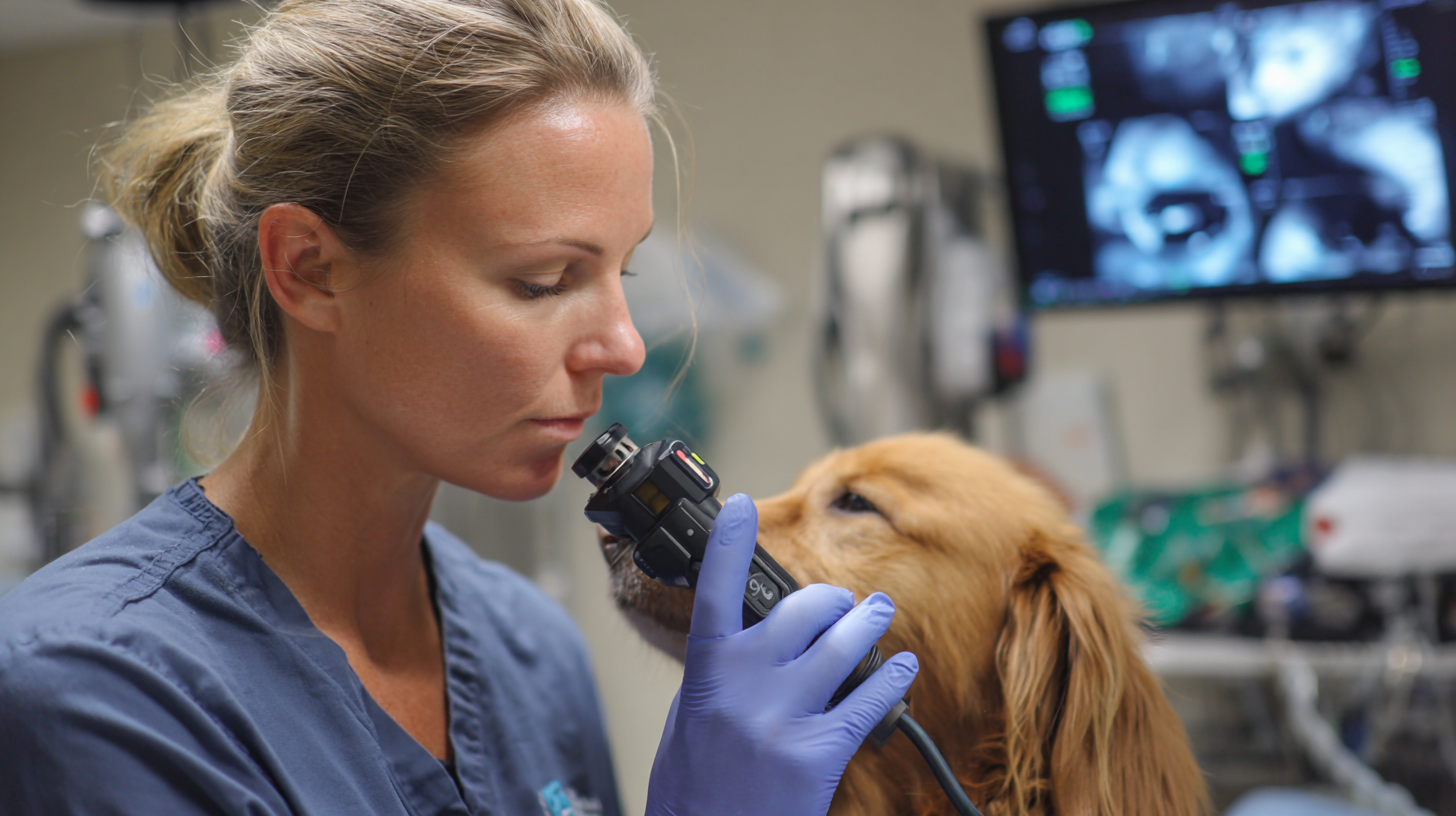 Top Strategies for Maximizing the Benefits of Veterinary Endoscopes in Animal Care