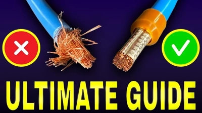 5 Best Ferrule Terminal Blocks: 2023 Insights into Quality and Performance