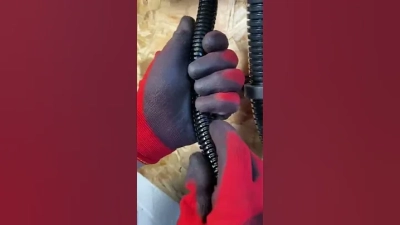 Top 2026 Dog Collars Suppliers You Need to Know About