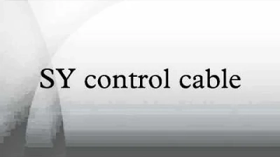 Top 10 China Pet Jewelry Designers and Manufacturers You Should Know?