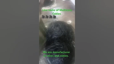 Essential Guide to Understanding PVC Multicore Cables for Your Projects