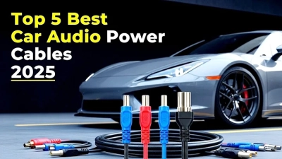 Top 10 Best Dog Collar Suppliers for Quality and Affordability