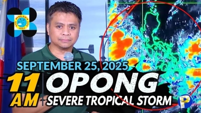 7 Best Low Temperature Wires with Exceptional Performance Under Extreme Conditions