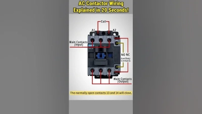 What is the Best Dog Collars Suppliers? A Comprehensive Guide