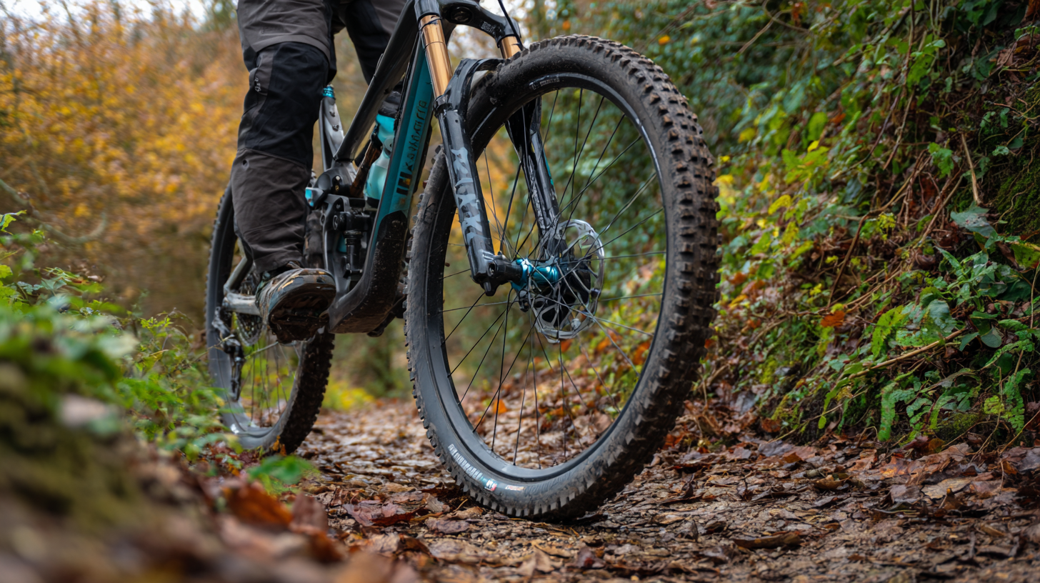 Essential Guide to Choosing the Right Fork of the Bike for Your Riding Style