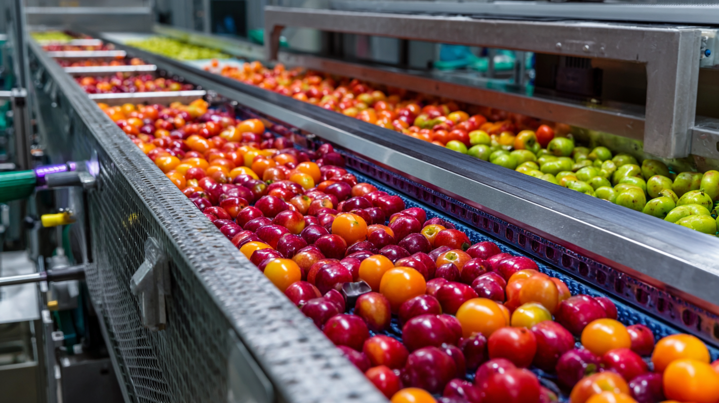 7 Essential Tips for Maximizing Efficiency with Your Fruit Sorting Machine