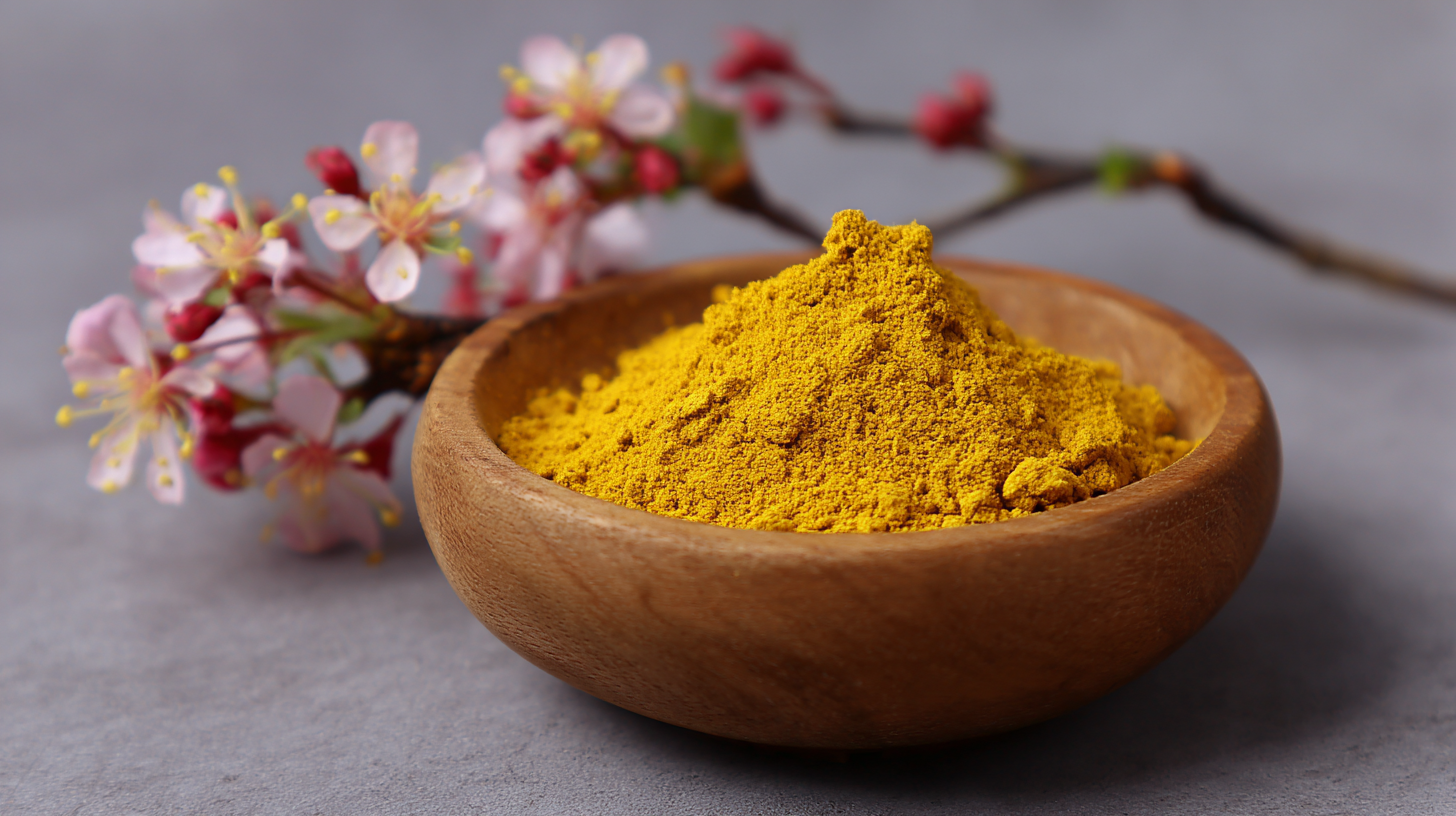 How to Effectively Incorporate Berberine Extract Powder into Your Daily Health Routine