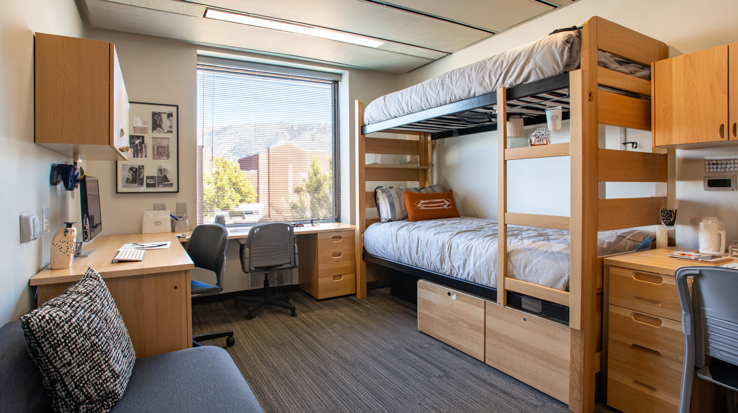 Ultimate Guide to Choosing the Perfect Dormitory Cabinet for Your Needs