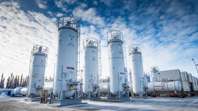 How to Choose the Right Cryogenic Gas Containers for Optimal Performance and Safety