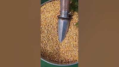 Top 2025 Automatic Drainage Pumps for Home and Garden Needs