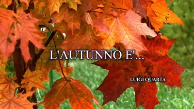 Top 5 Ceramic Valve Types for Optimal Performance in Industrial Applications