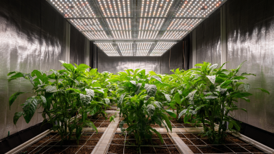 7 Essential Tips for Maximizing Your Indoor Garden with LED Grow Lights
