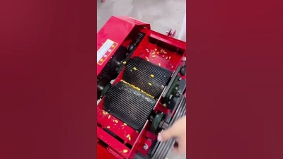 5 Expert Tips for Selecting the Best Corn Crusher Machine for Your Business