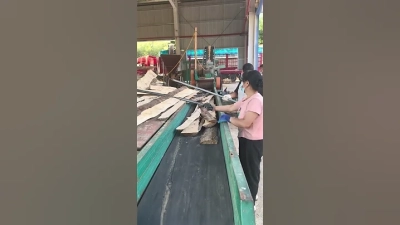 7 Best Corn Crusher Machines for Maximum Efficiency and High Yield Production