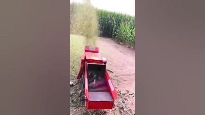 How to Treat Nail Intramedullari Effectively?