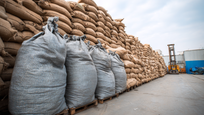 What are the Benefits of Using Large Bags for Storage and Transport