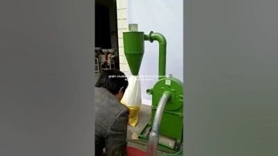 How to Maximize Efficiency with a Corn Crusher Machine in Your Production Line