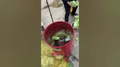 Understanding the Mechanics: What is a Corn Crusher Machine and Its Impact on Agricultural Efficiency?