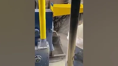 Why Choose a China Pet Jewelry Designer and Manufacturer?