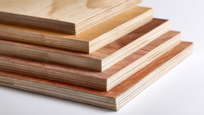 What Makes Birch Plywood Sheets a Top Choice for Modern Projects