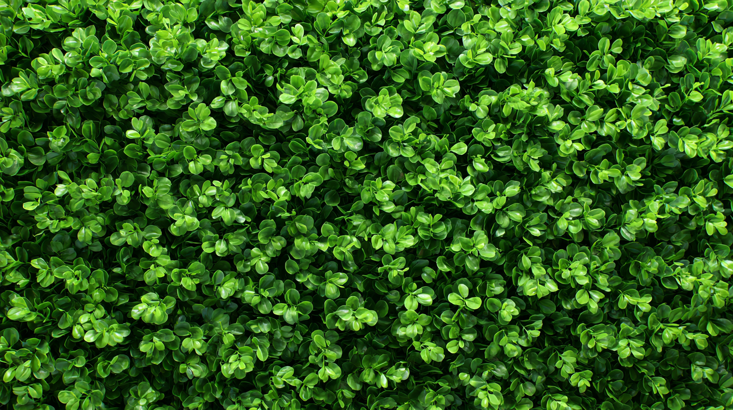 How to Create a Stunning Plant Grass Wall for Your Outdoor Space