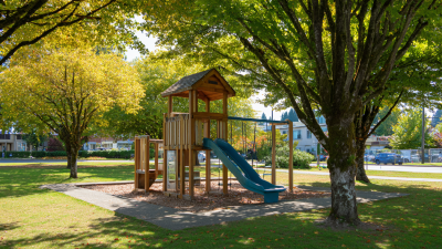Exploring the Benefits of a Playground In The Park for Community Engagement