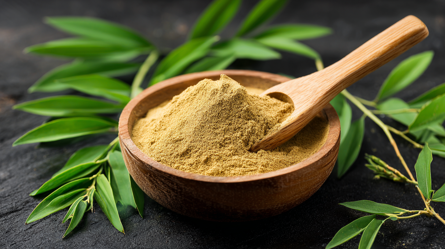 What is Polygonatum Extract and Why You Should Choose Quality Suppliers