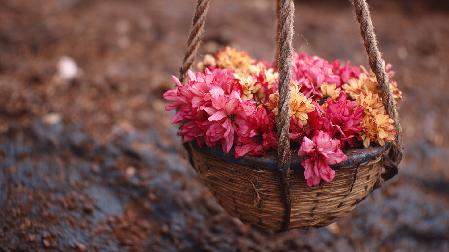 5 Expert Tips for Choosing the Best Wire Rope Tightener Flower Basket