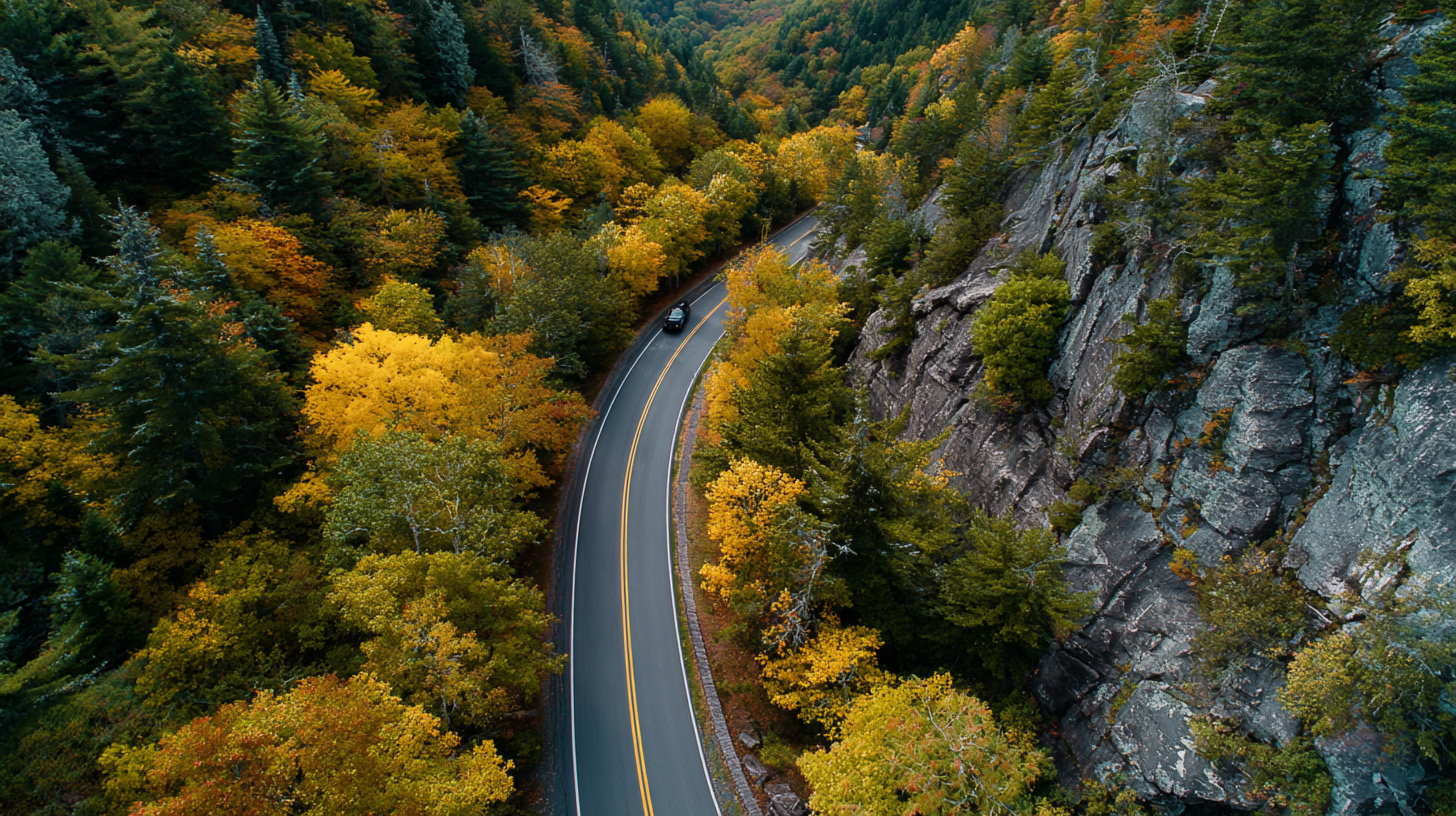 How to Navigate the Complex Landscape of Environmental Policies and Regulations for Your Business