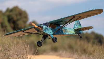 Understanding the Benefits of Rc Model Airplane Kits for Hobbyists and Enthusiasts