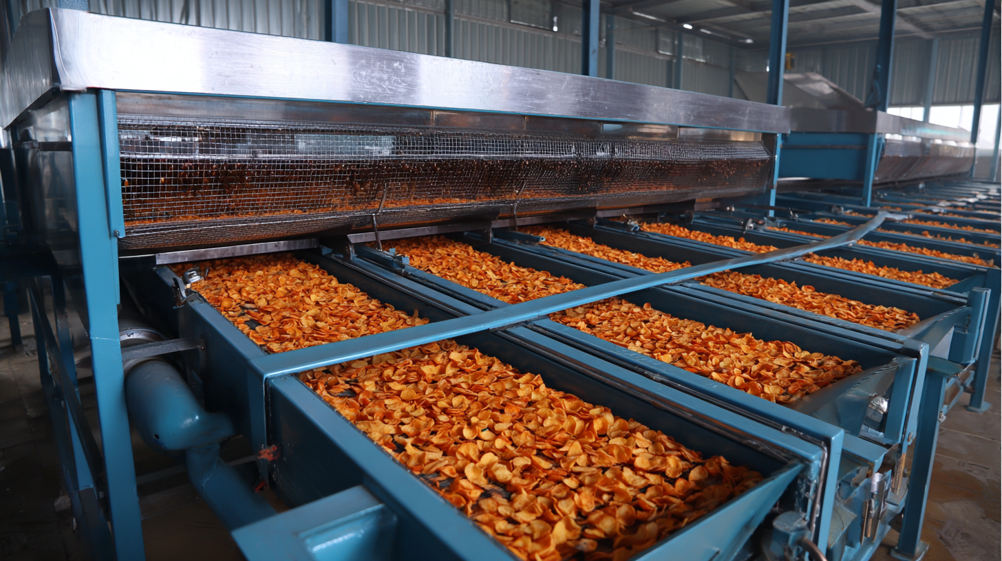 How to Choose the Best Potato Chips Dryer Machine for Your Business