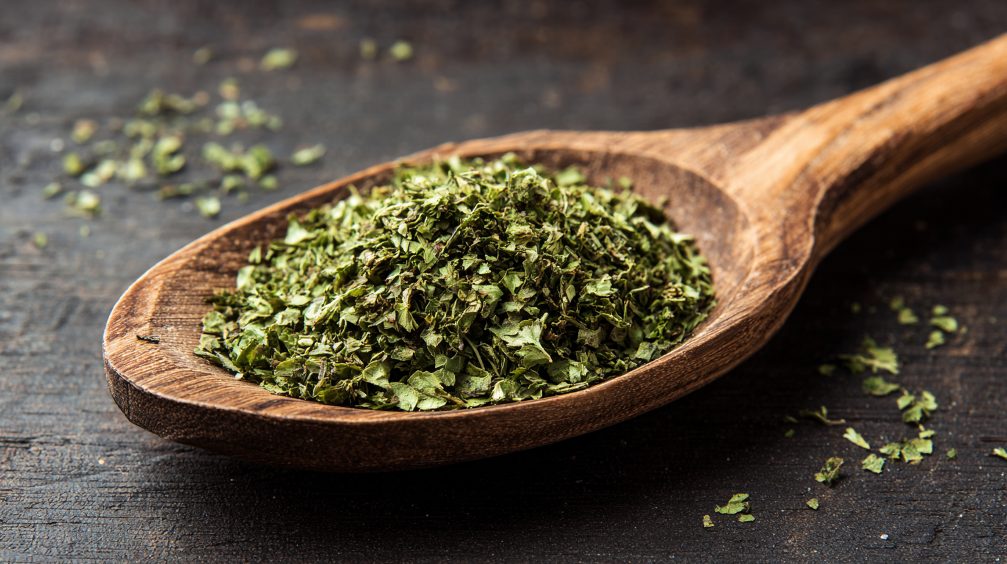 How to Use Dried Cilantro to Enhance Your Culinary Experiences