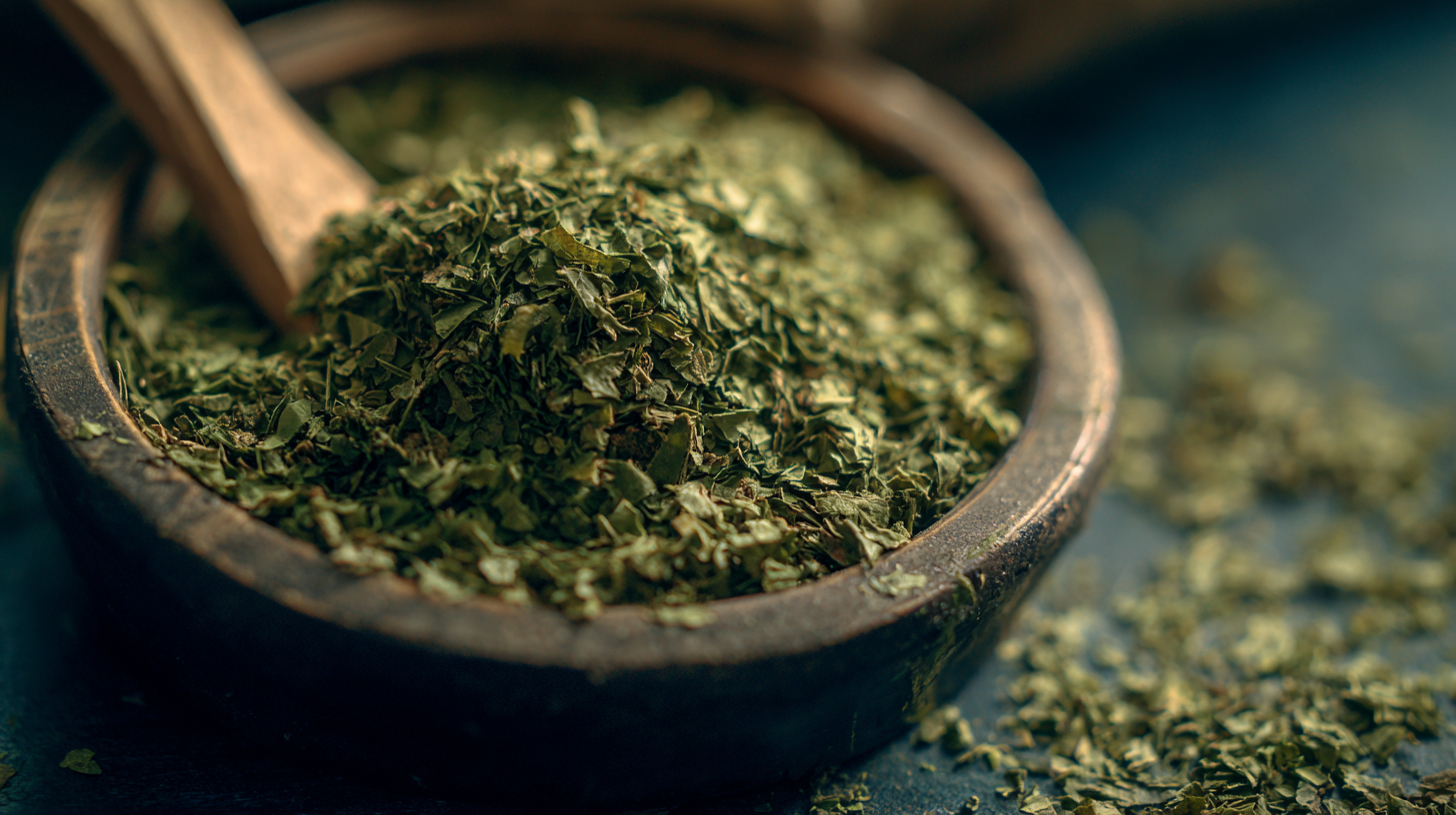 How to Use Dried Cilantro to Enhance Your Culinary Experiences