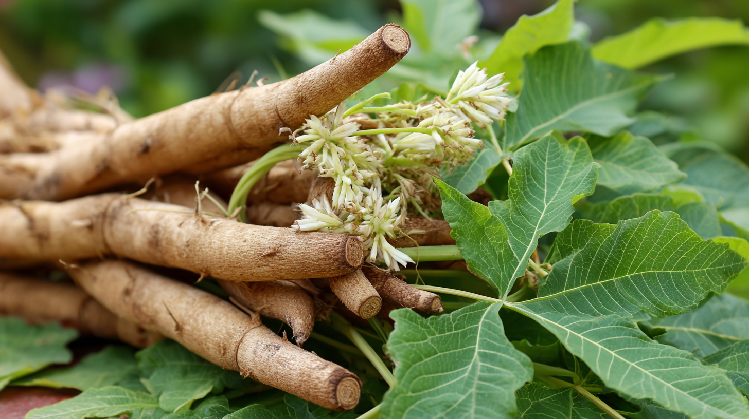 How to Utilize Pueraria Lobata Extract for Enhanced Wellness and Nutritional Benefits