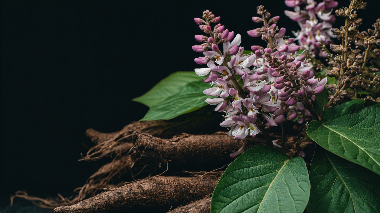 How to Utilize Pueraria Lobata Extract for Enhanced Wellness and Nutritional Benefits