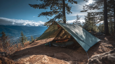 How to Choose the Best Strong Demon Tarp for Your Outdoor Adventures