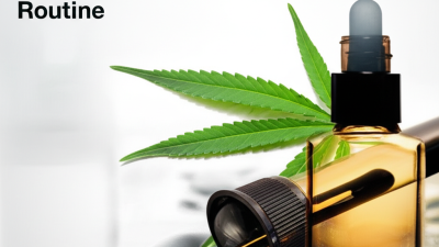 How to Effectively Utilize Cbd Monobloc in Your Daily Wellness Routine