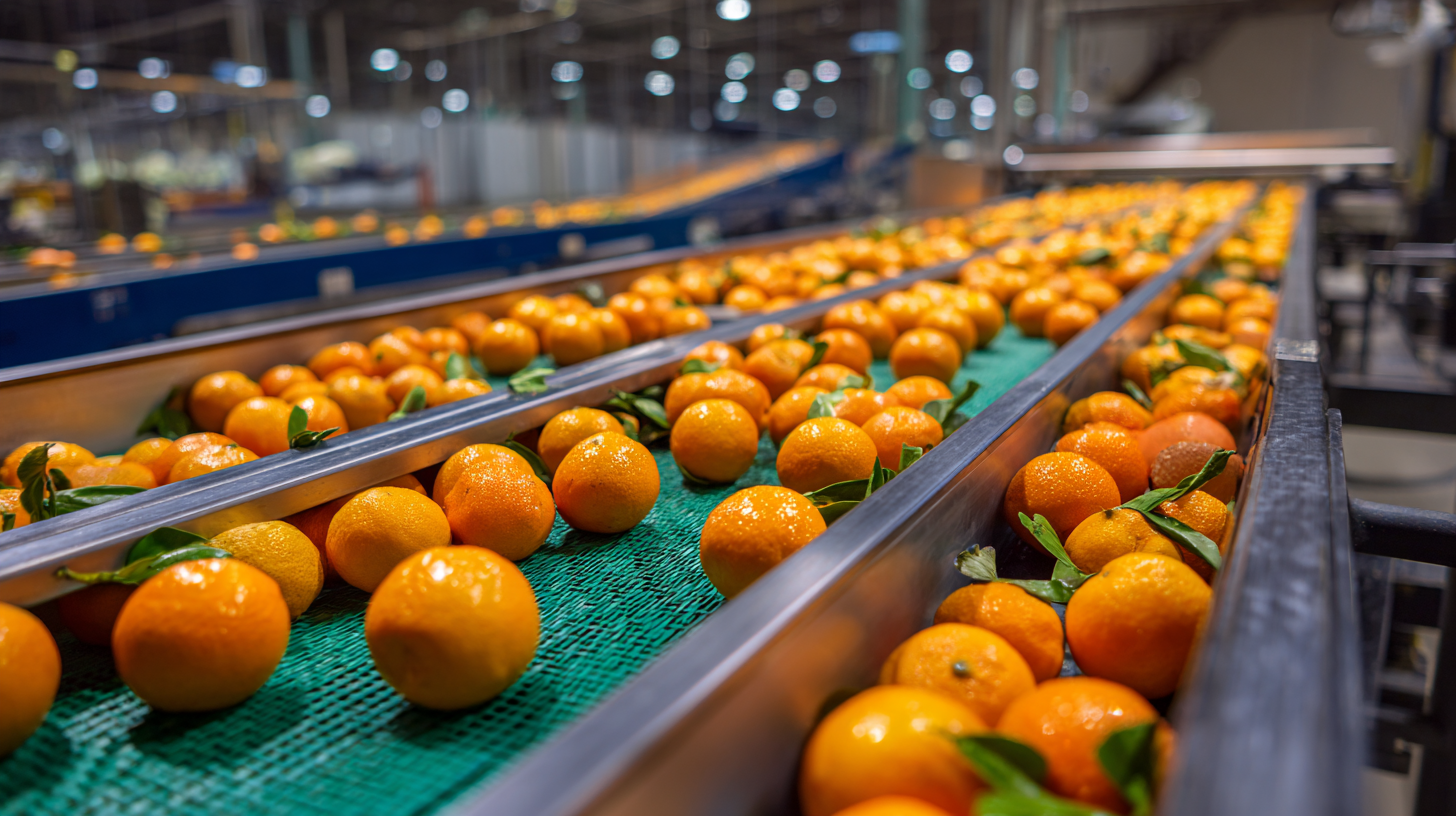 How to Optimize Your Mandarin Sorting Machine for Maximum Efficiency