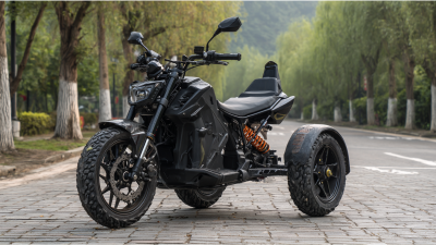 How to Choose the Right Electric Trike for Adults
