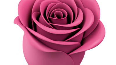 How to Choose the Perfect Rose Vibrator for Your Personal Bliss