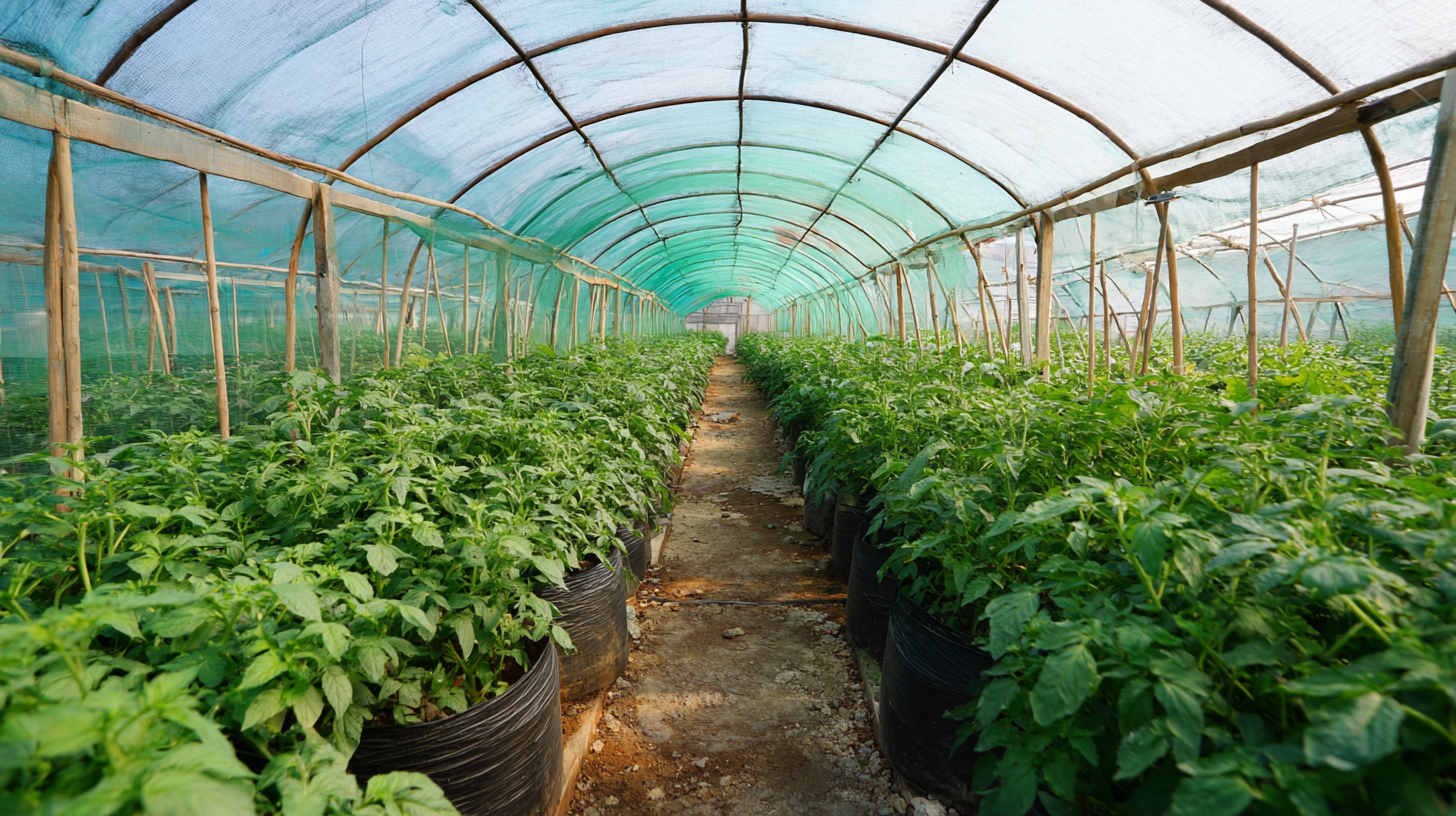 How to Maximize Plant Growth in a Polyethylene Greenhouse with Proven Techniques