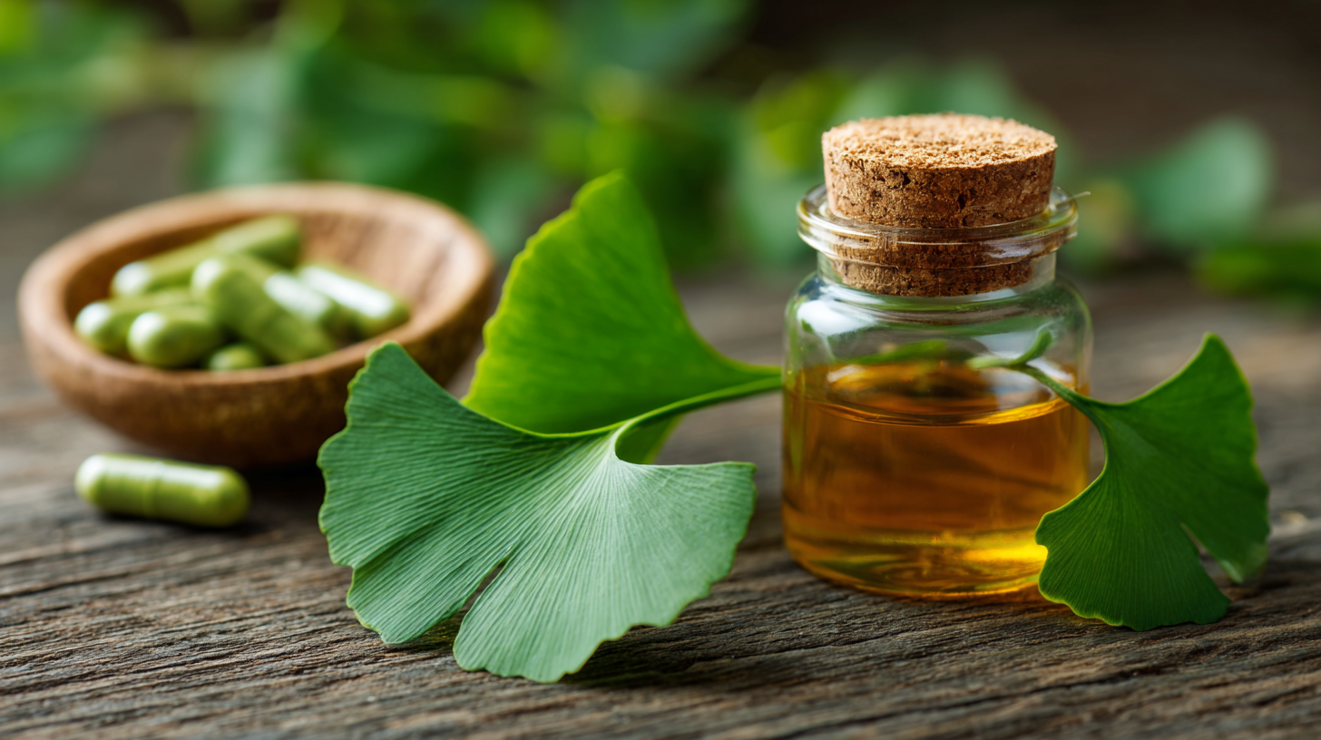 How to Harness the Benefits of Ginkgo Biloba Extract for Optimal Brain Health